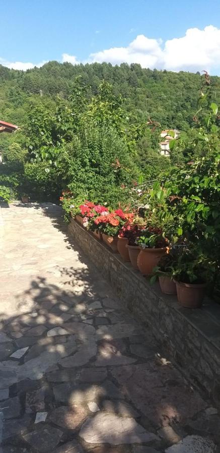 Το Σπίτι Της Ευτυχίας Σουίτα Apartment Karpenisi Ngoại thất bức ảnh